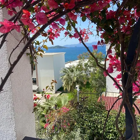 Bodrm Turgutreis Denize 100 Mt Bodrum